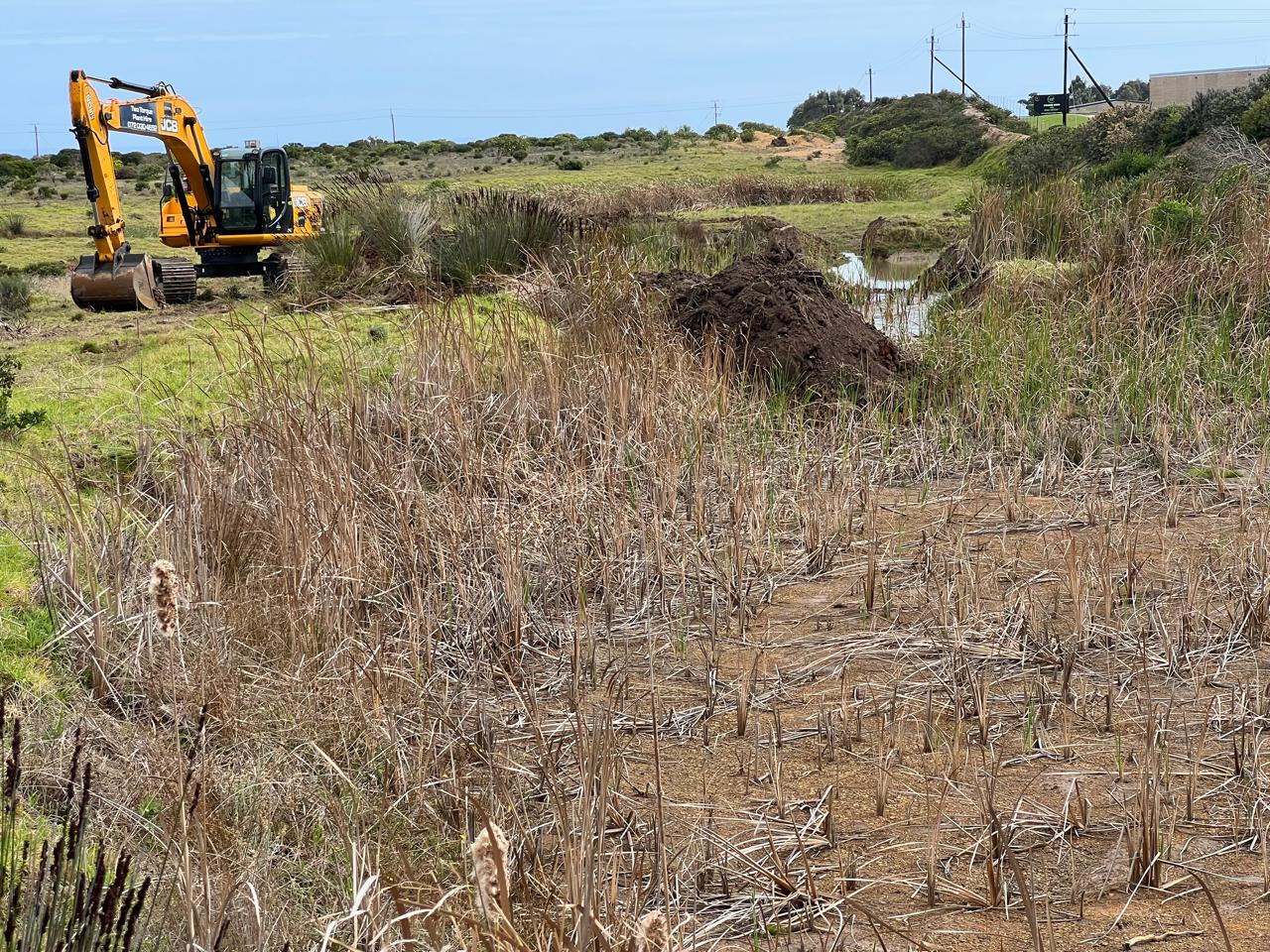 Excavator working in wetland vegetation at Erf 8010, September 2025.