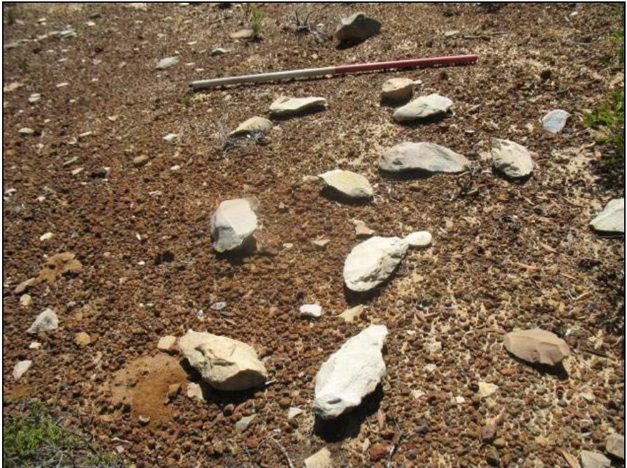 A cluster of Acheulean handaxes lying in situ on reddish-brown soil at the Quarry Site, Portion 63.