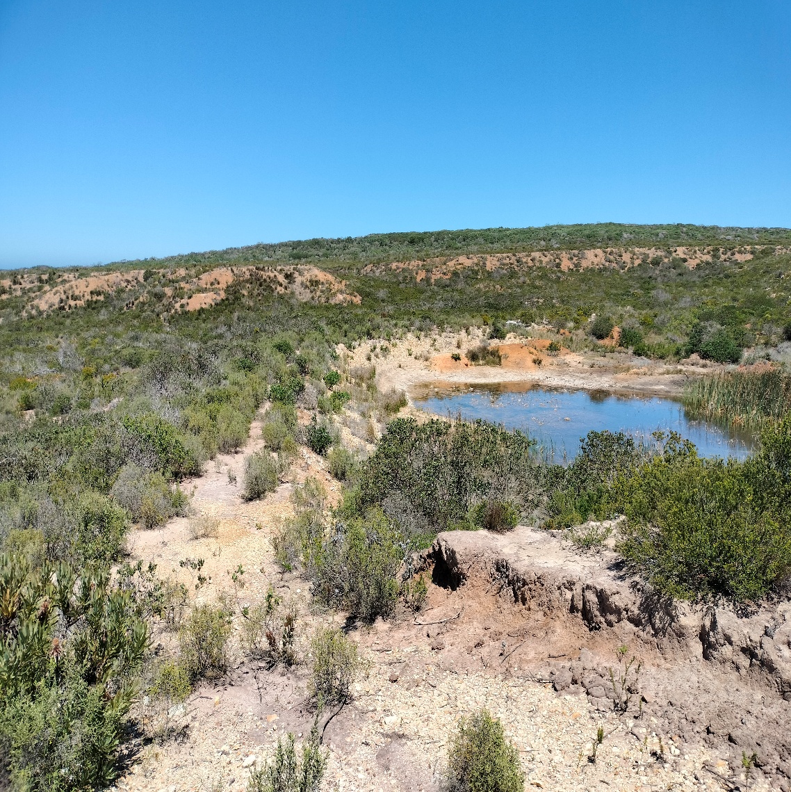 The old quarry on Portion 63 — Acheulean Stone Age manufacturing site (Kaplan 2010).